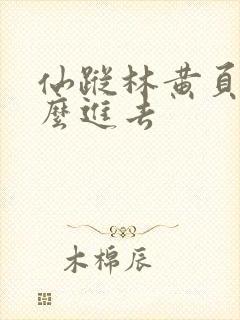 仙踪林黄页网怎么进去