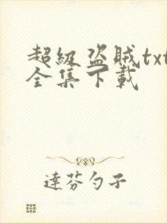 超级盗贼txt全集下载