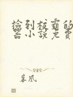 捡到校霸的遥控器小说免费阅读