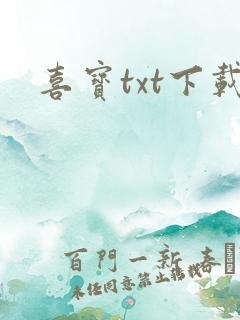 喜宝txt下载