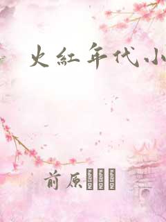 火红年代小说