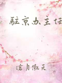 驻京办主任对手