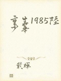重生1985陆少华