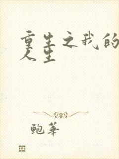 重生之我的抄袭人生