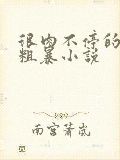 很肉不停的做很粗暴小说