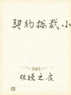 契约总裁小萌宝