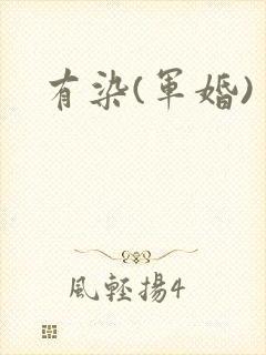 有染(军婚)