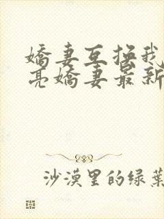 娇妻互换我的漂亮娇妻最新章节