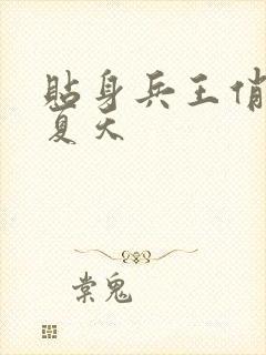 贴身兵王俏总裁夏天