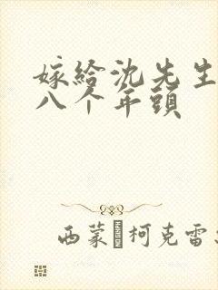 嫁给沈先生的第八个年头