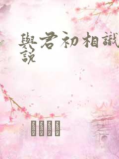 与君初相识 小说