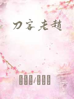 刀客老赵