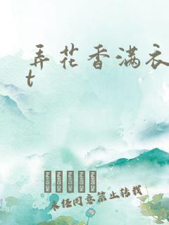 弄花香满衣txt