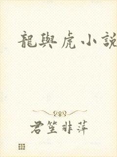 龙与虎小说