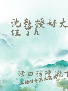 沈教授好大含不住了h