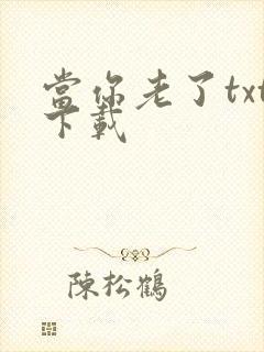 当你老了txt下载
