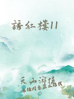 诱红楼11