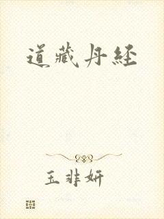 道藏丹经