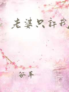 老婆只许我宠你