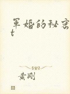军婚的秘密txt