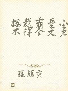 总裁霸爱小妻惹不得全文免费阅读