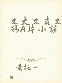 又大又爽又黄无码A片小说