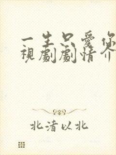 一生只爱你 电视剧剧情介绍