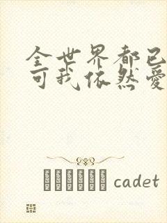 全世界都已剧终可我依然爱你