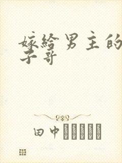 嫁给男主的病秧子哥