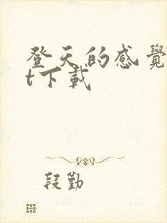 登天的感觉txt下载