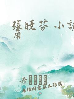 张晓芬 小说主角