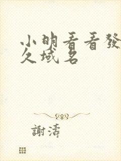 小明看看发布永久域名