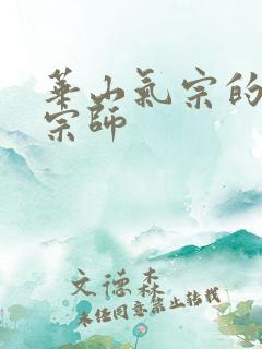 华山气宗的形意宗师