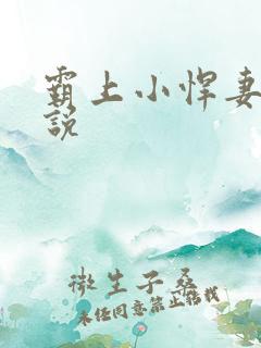 霸上小悍妻 小说