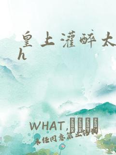 皇上灌醉太子妃h