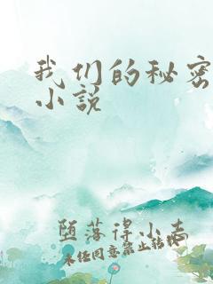 我们的秘密泰剧小说