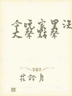 今晚家里没人叫大声点声