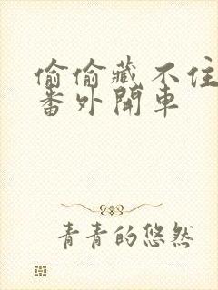 偷偷藏不住婚后番外开车