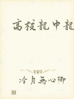 高校龙中龙