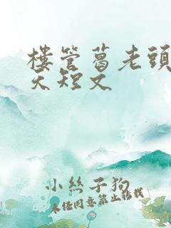 楼管葛老头的春天短文