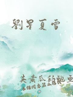 刘星夏雪