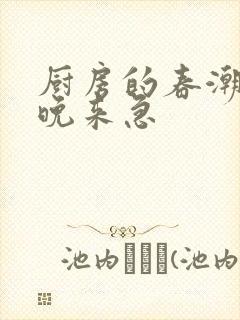 厨房的春潮带雨晚来急