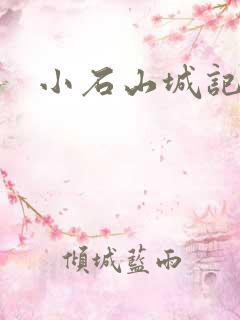 小石山城记