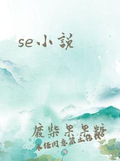 se小说