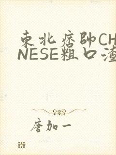 东北痞帅CHINESE粗口渣男