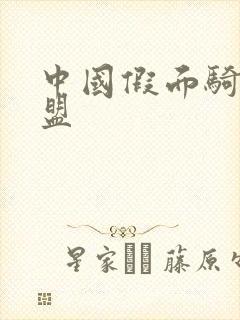 中国假面骑士联盟