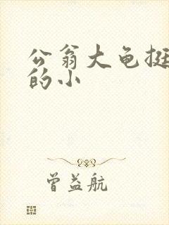 公翁大龟挺进我的小