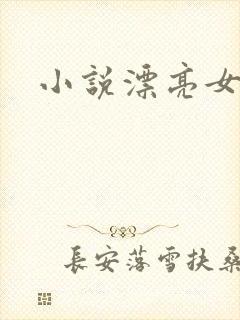 小说漂亮女局长