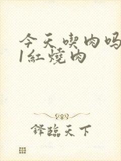 今天吃肉吗1V1红烧肉