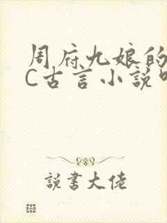周府九娘的NPC古言小说叫什么